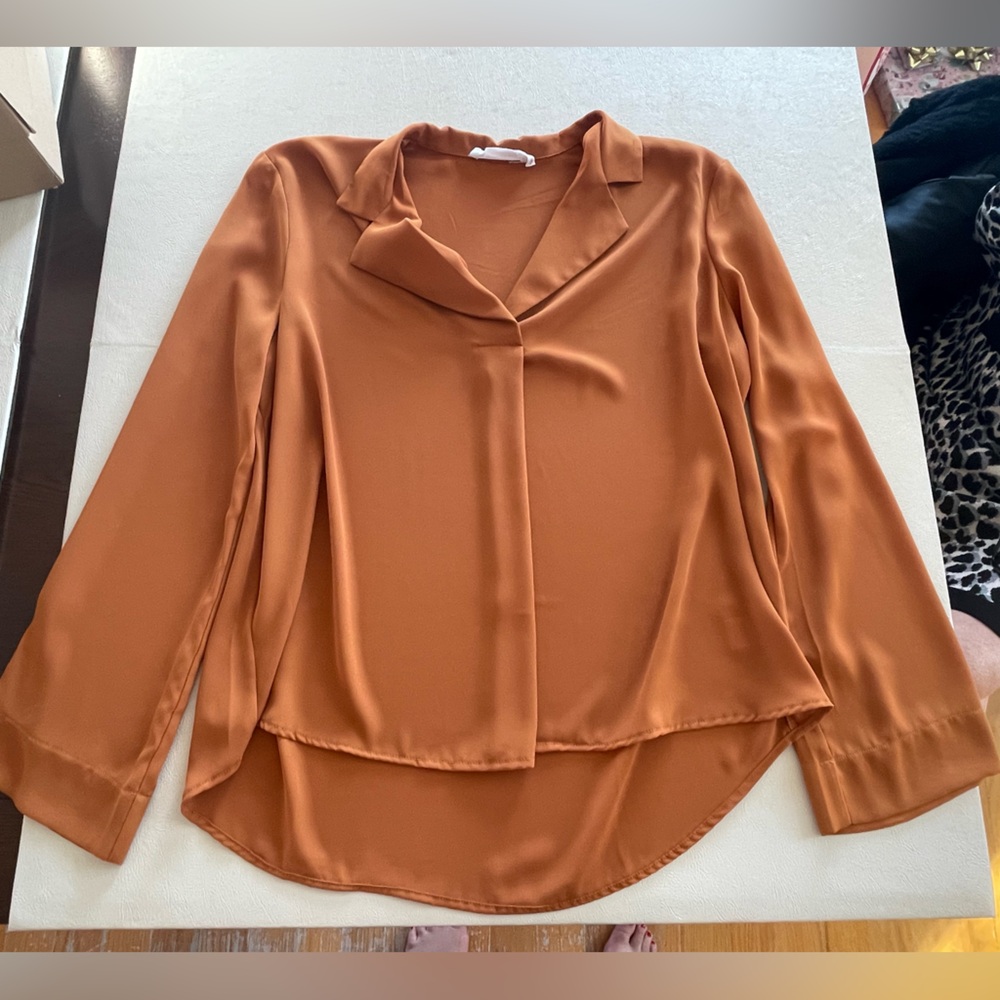 Nordstrom “All in Favor” Burnt Orange Long Sleeve Top